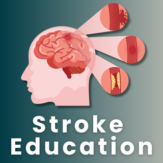 2024-2026 EDW Enduring Program: Stroke Education Banner